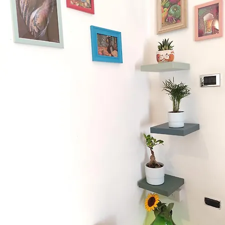 Apartment Bagiu - Intero *